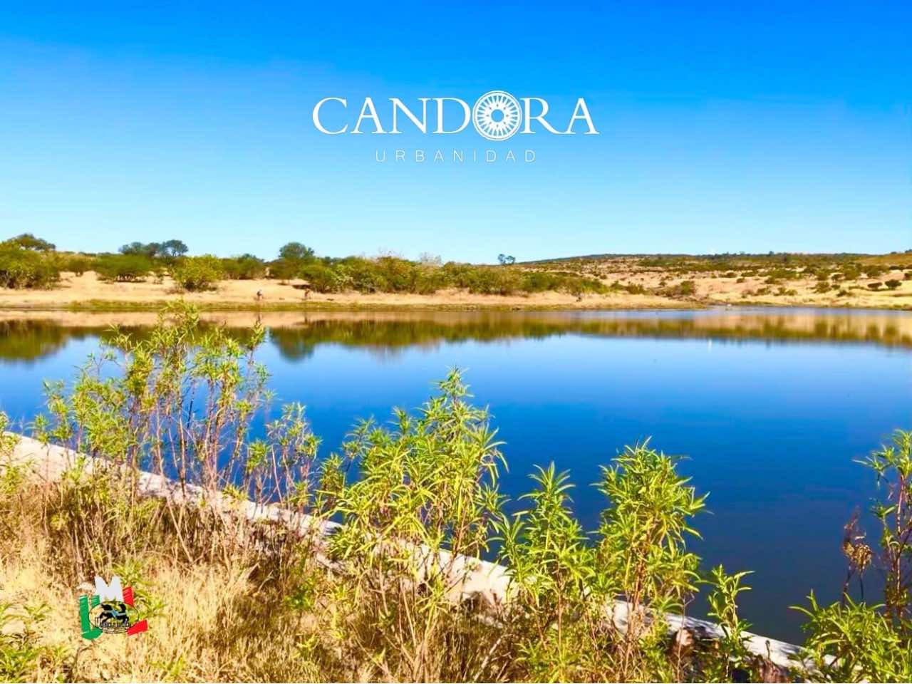 Noticias | Candora